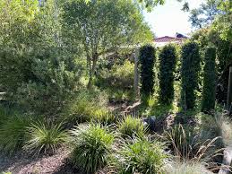 Landscape Design